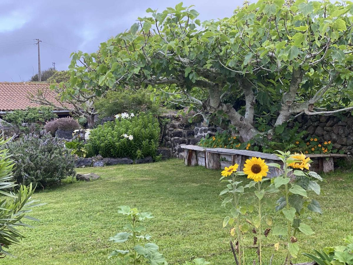 Quinta Perpetua, Casa Flores Santa Cruz da Graciosa Exterior foto